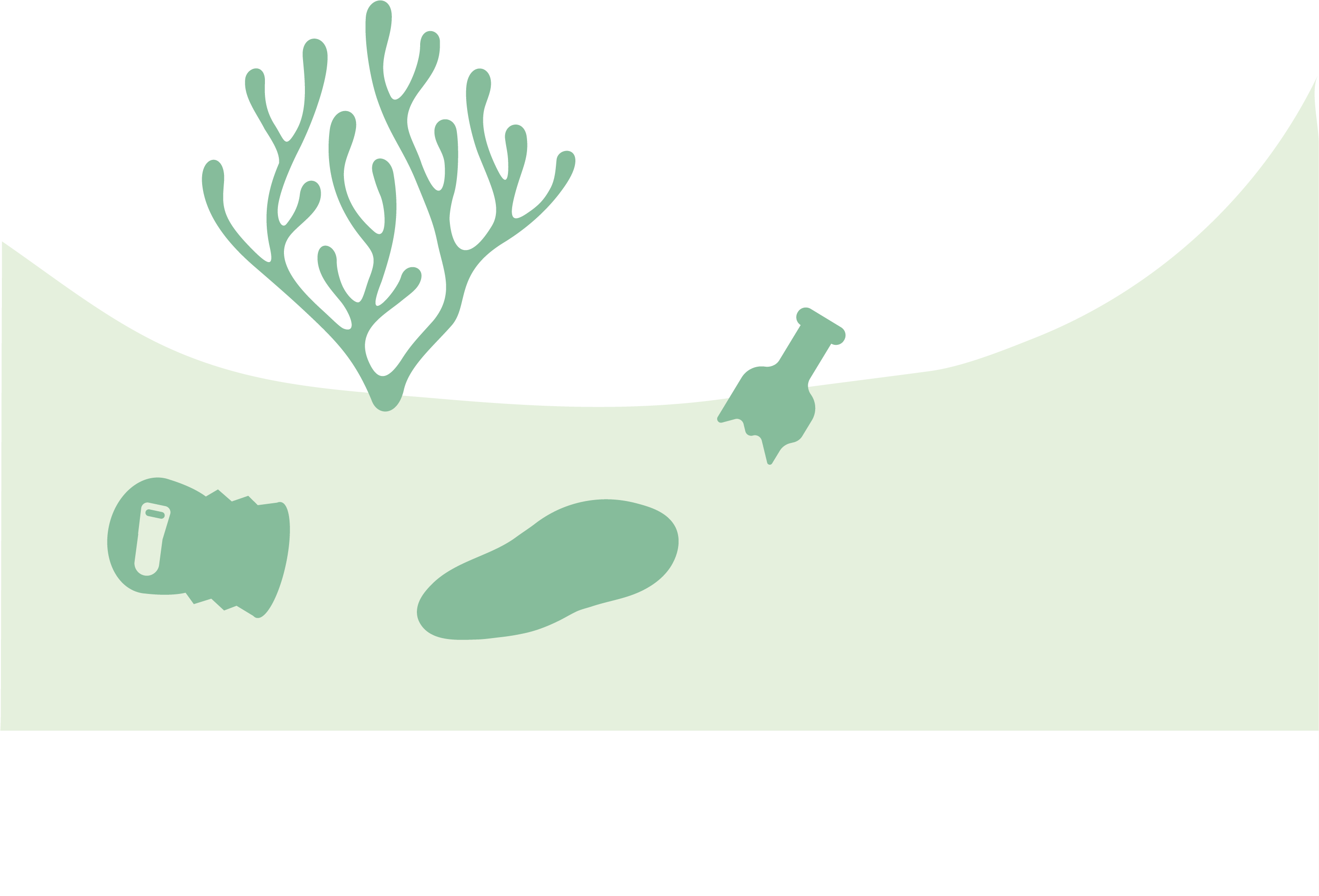fondo marino